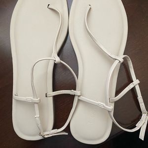 Ann Taylor Loft New Thong Sandal
